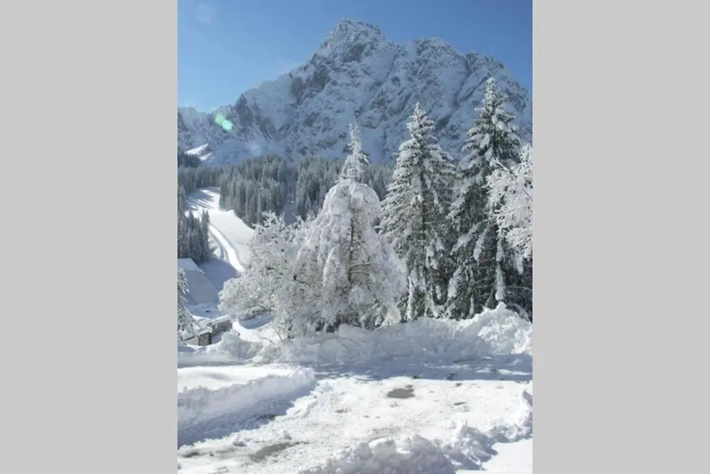 Appartamenti Cottrer - Ottima Posizione Adatto A Famiglie - Good Location Sappada 0*,  Italy