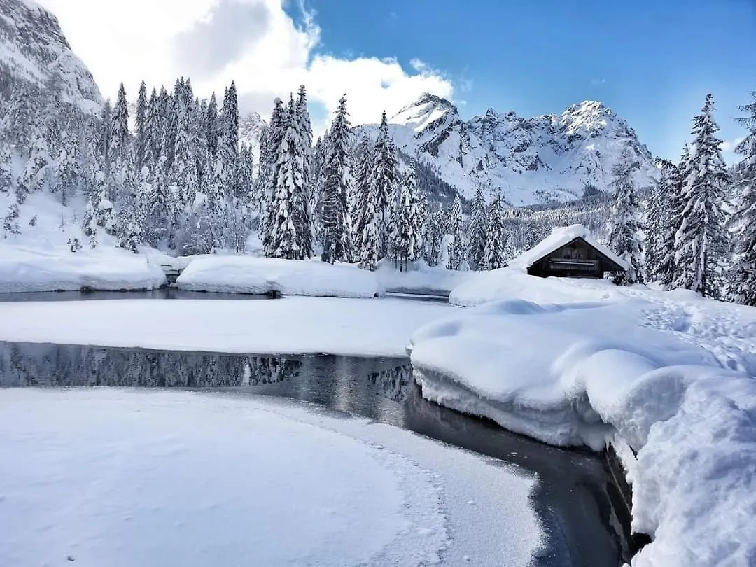 Apartment Appartamenti Cottrer - Ottima Posizione Adatto A Famiglie - Good Location Sappada